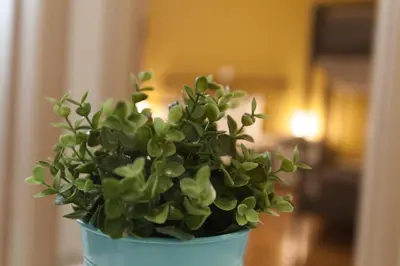 a green plant in a blue pot on a table at Athens City Themis 3 in Athens