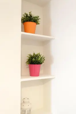 two potted plants on shelves in a room at Athens City Themis 3 in Athens