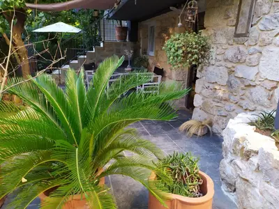 a palm plant in a pot next to a staircase at Stone House in Athens