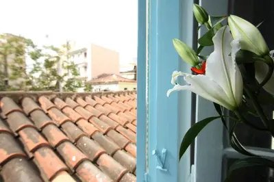 a flower in a vase next to a window at Live in Athens, THISEIO Historic House in Athens