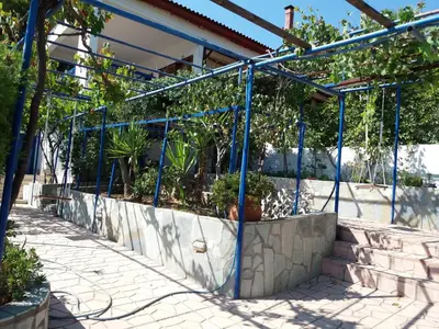 a greenhouse with potted plants in it at Aliki House in Porto Rafti