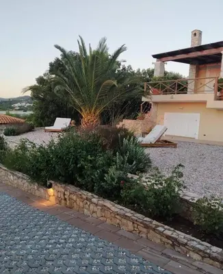 a house with a palm tree and a stone driveway at Villa Vena in Palaiá Fókaia