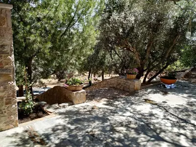 a garden with trees and a stone wall with potted plants at Villa Vena in Palaiá Fókaia