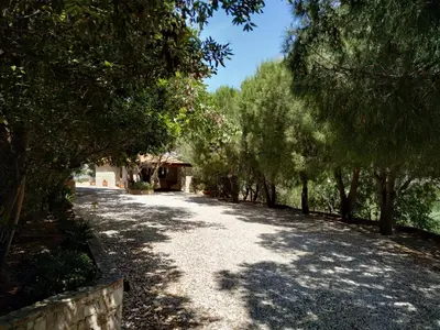 a driveway with trees and a house in the distance at Villa Vena in Palaiá Fókaia