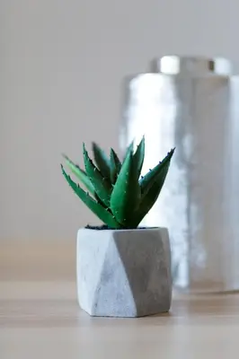 a succulentuanauanauanauanauanauanauanauanauanauanauanauana at Urban Chic 1BD Apartment in Hilton district by UPSTREET in Athens