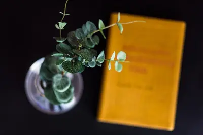 a plant in a vase next to a book at Urban Chic 1BD Apartment in Hilton district by UPSTREET in Athens