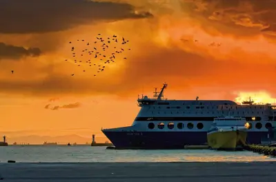 a cruise ship in the ocean with a flock of birds at Penthouse Deluxe apartment at piraeus in Piraeus