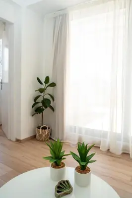 two plants sitting on a white table in front of a window at V&V Acropolis view apartment in Athens