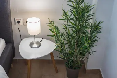 a lamp on a table next to two plants at Just Under Acropolis in Athens