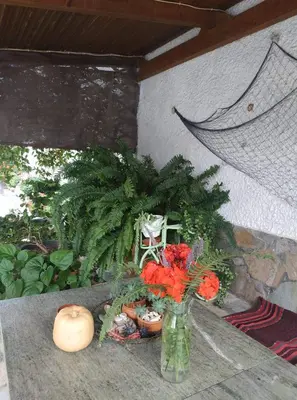 a vase filled with flowers on a table at Violet Bedroom and Apartment in Spáta