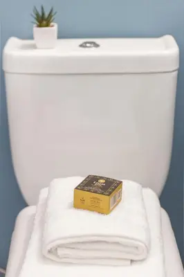 a book sitting on top of a toilet seat at Downtown Boutique Apartments Acropolis View in Athens