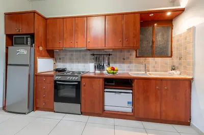 a kitchen with wooden cabinets and a stove and refrigerator at Athens Near Acropolis in Athens