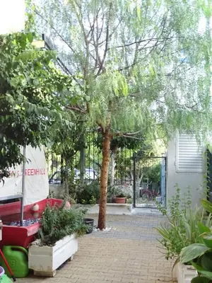 a tree in the middle of a courtyard at Artemis GreenHill in Vravrona
