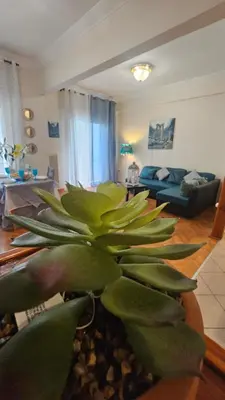 a large green plant in a living room at Apartment near sea Elpida's Edem in Athens