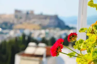 a red flower with a view of a city at Mia's Atelier, Balcony to Acropolis in Athens