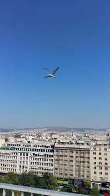 a bird flying in the sky over a large building at Athens Center Panoramic Flats in Athens