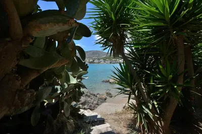 a view of a beach with palm trees and the ocean at Villa PortoMare in Porto Rafti