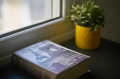a book sitting on a table next to a potted plant at V&V Central & Elegant Apartment in Athens