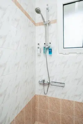 a shower with a shower head in a bathroom at A&D Apartments in Porto Rafti