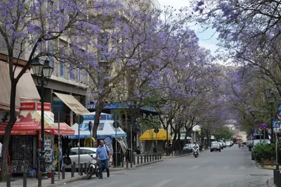 a man walking down a street with trees with purple flowers at athens.apartotel.1 in Athens