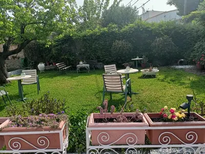 a garden with two pots of flowers and a table and chairs at Finikas Rooms in Agia Marina Aegina