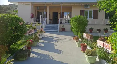 a house with potted plants in front of it at Finikas Rooms in Agia Marina Aegina