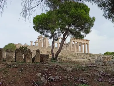 a tree in front of a temple at Finikas Rooms in Agia Marina Aegina