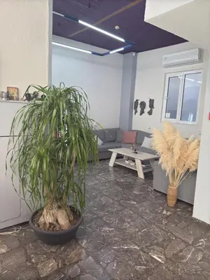 a living room with a couch and a potted plant at Paloma in Athens