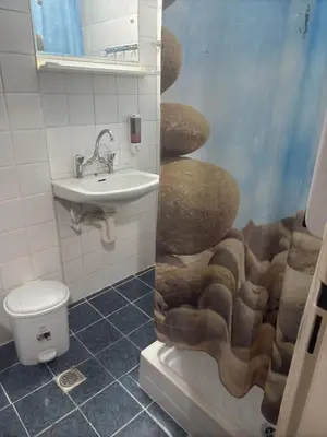 a bathroom with a shower with a sink and a toilet at Paloma in Athens