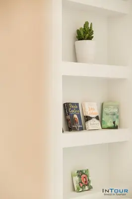 two shelves with books and a plant on them at Art point under Acropolis in Athens