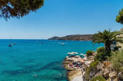 a beach with a palm tree and boats in the water at Panorama Hotel in Agia Marina Aegina