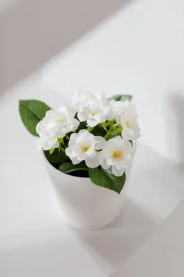 a white vase filled with white flowers on a table at Minimal 2BD Apartment with Lycabettus view by UPSTREET in Athens