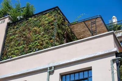 a building with a green wall on top of it at The Foundry Suites in Athens