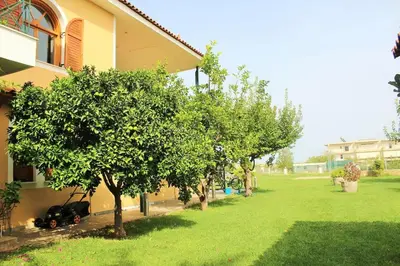 a row of trees in front of a house at Athens Countryside resort with pool in Pallíni
