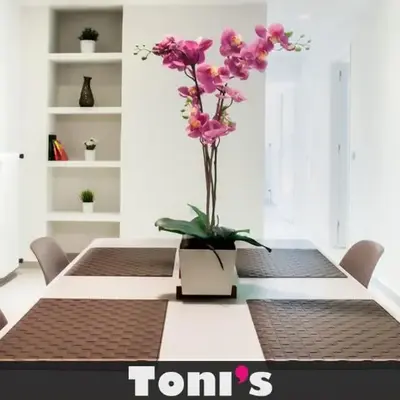 TONI'S Spacious Apartment next to Acropolis Museum