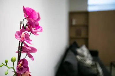 a bunch of pink flowers in a vase at TONI'S Studio Syntagma, 1 min from Metro station in Athens