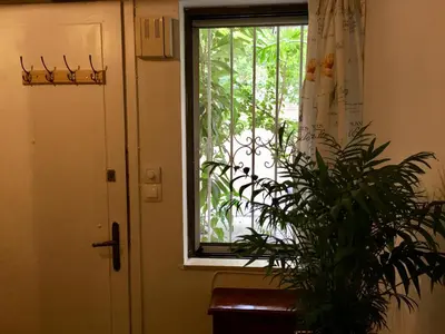 a plant sitting next to a door with a window at Edem Riviera Studio,close to beach,in Paleo Faliro in Athens