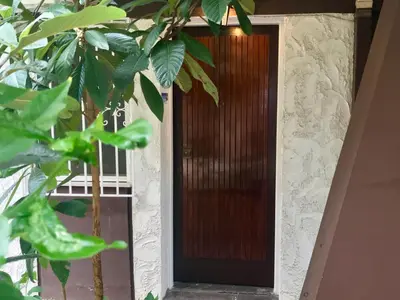 a wooden door of a house with a plant at Edem Riviera Studio,close to beach,in Paleo Faliro in Athens