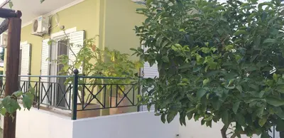 a balcony with a plant next to a window at Vicky's place,near Athens airport in Koropíon