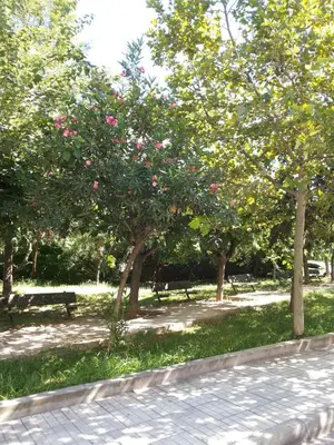 a park with benches and trees with pink flowers at Αnna's Home!!!Holidays in beautiful Athens in Athens