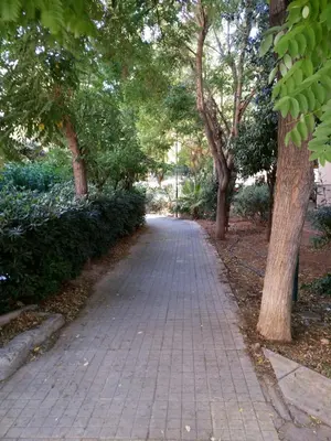 a brick path with trees on either side at Αnna's Home!!!Holidays in beautiful Athens in Athens