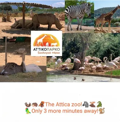a collage of pictures of animals in a zoo at Luxury Apt Near The Airport in Spáta