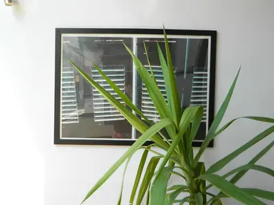 a plant in front of a mirror on a wall at So Athens - Studios and Apartments in Athens
