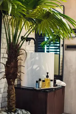 a bathroom counter with a plant on top of it at Project 3 Urban Chic Hotel in Athens