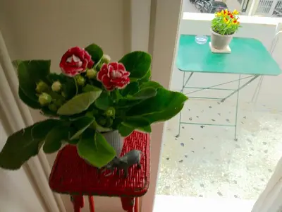 a red vase with a plant in it next to a table at Archelaou Street Living in Athens