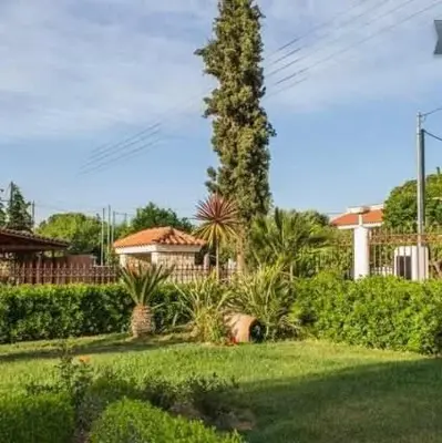 a palm tree in the yard of a house at Relaxing Villa with Swimming Pool and Garden in Áyios Yeóryios