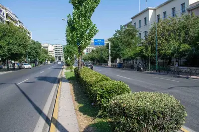 an empty street with a hedge on the side of the road at Alexandras Metro Studio&200mbps in Athens