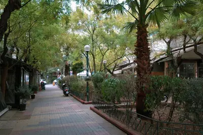 a street with a palm tree on a sidewalk at Acropolis, Urban Lifestyle apartment in Athens