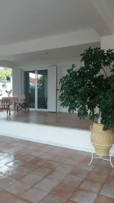 a large vase with a plant in a room at NN Luxury Room near Athens Airport in Spáta