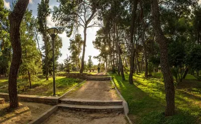 a path in a park with trees and a street light at Horizon apartment Athens near to Acropolis, sea & subway in Athens